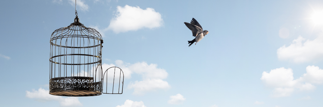 Free will: true or lie?