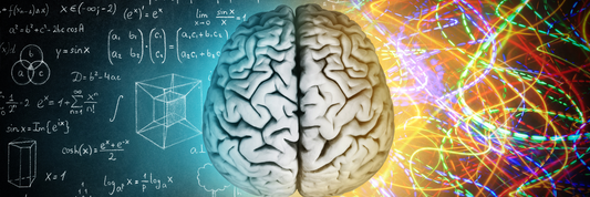 The creative force within