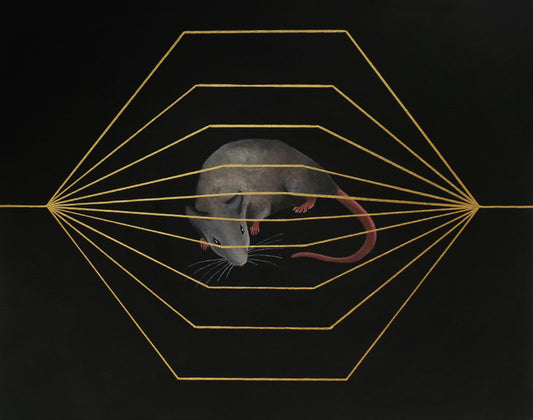 Endless race - 2023