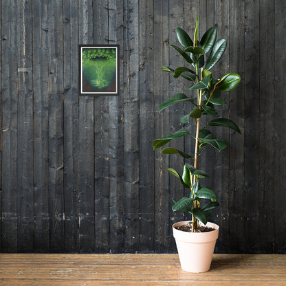 Tree of life - Framed Print