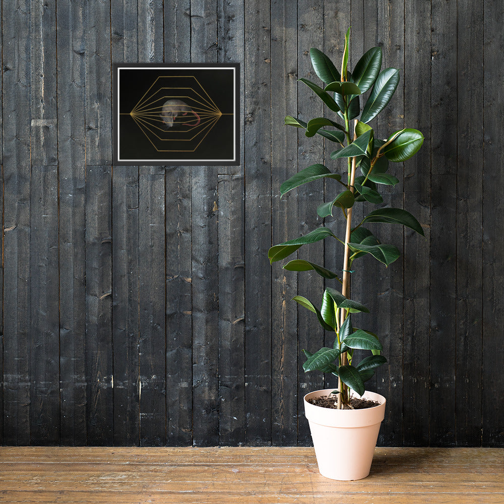 Endless race - Framed Print