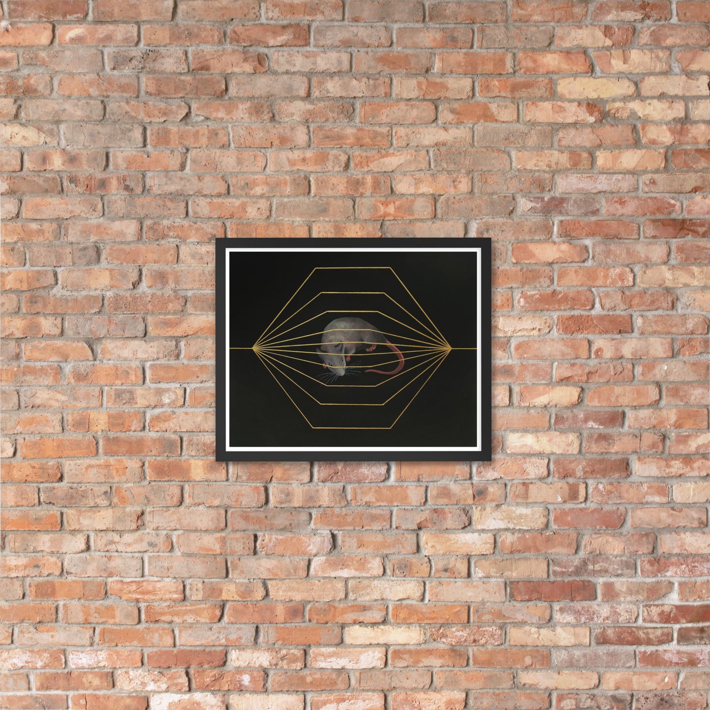 Endless race - Framed Print