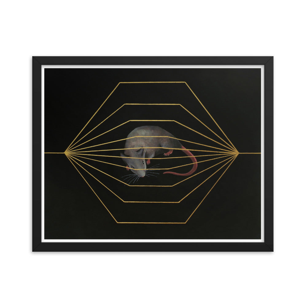 Endless race - Framed Print