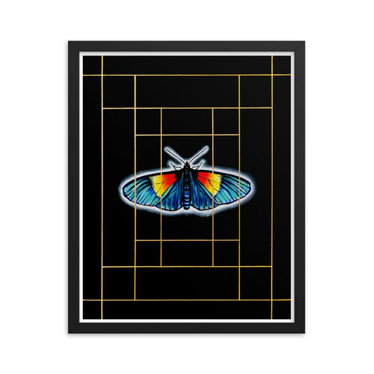 Complacency in life - Framed Print